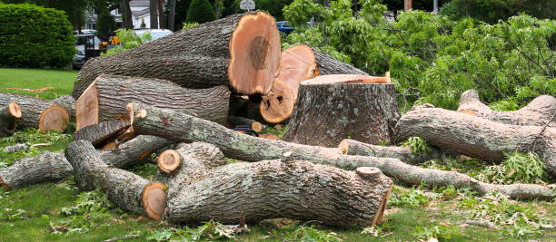  Vandenberg Af, CA Tree Care Pros