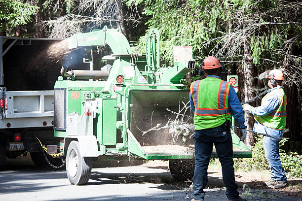 Lawn Drainage Solutions in Vandenberg Af, CA